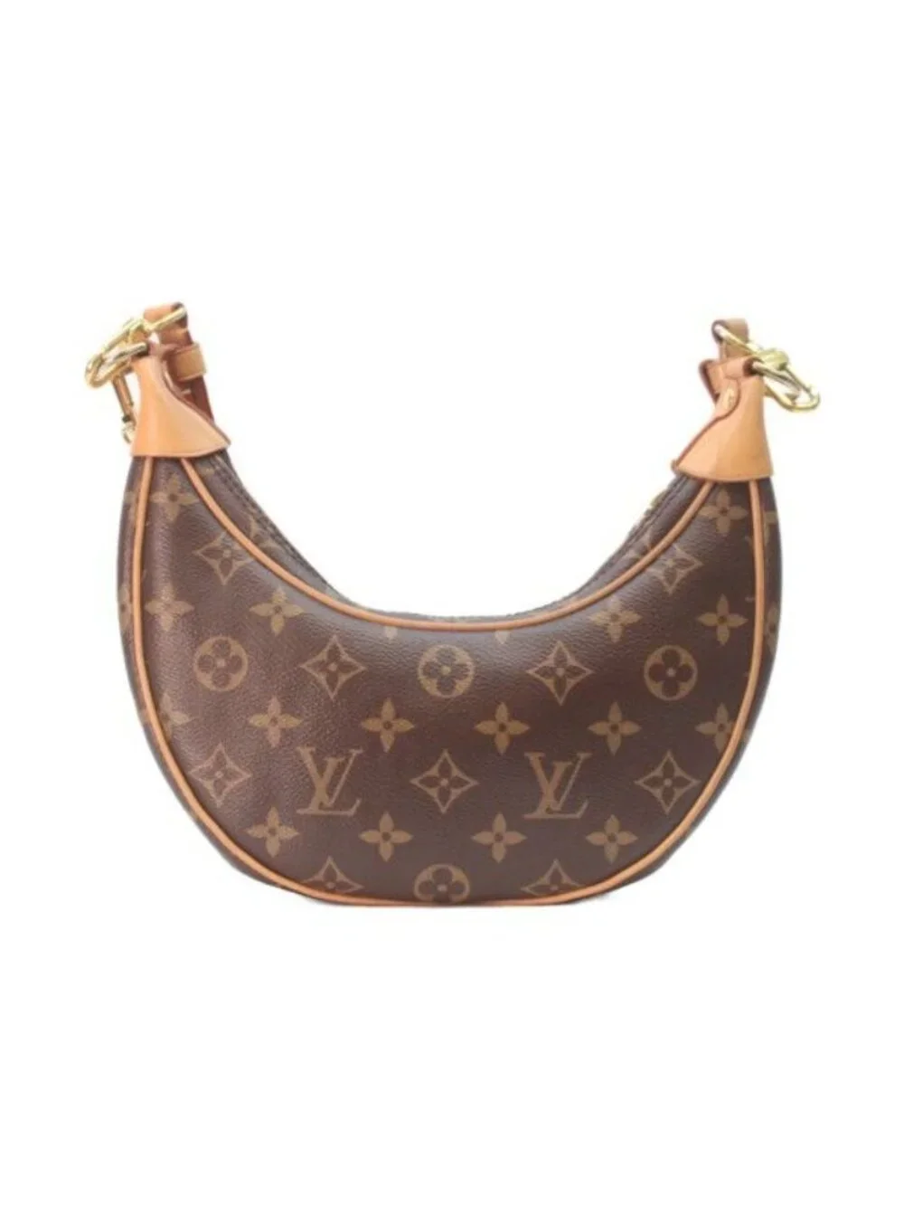 Louis Vuitton Monogram Loop Shoulder Bag